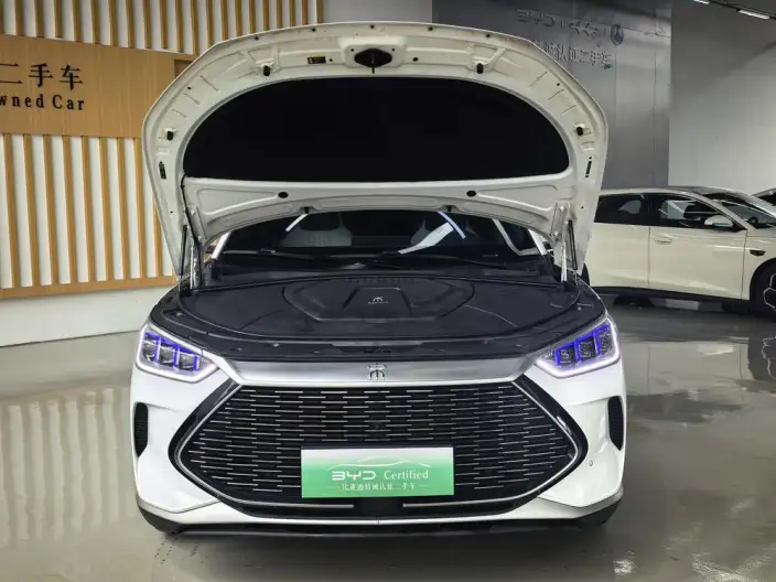 BYD Song PLUS DM 2021 Model DM-i 110KM 2WD Flagship PLUS – фото 13