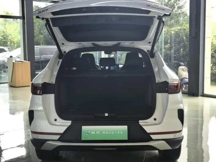 BYD Song PLUS DM 2021 Model DM-i 110KM 2WD Flagship PLUS – фото 22
