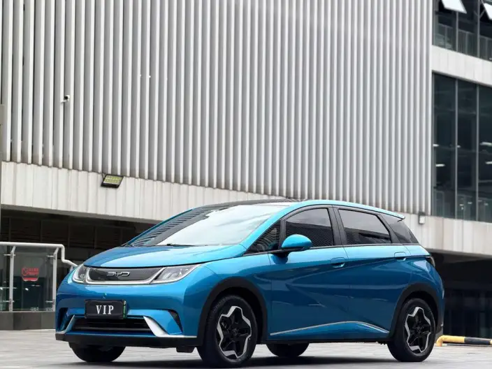 BYD Dolphin 2021 Model Free Edition – фото 1