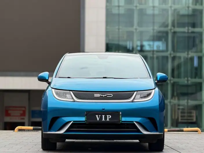 BYD Dolphin 2021 Model Free Edition – фото 2