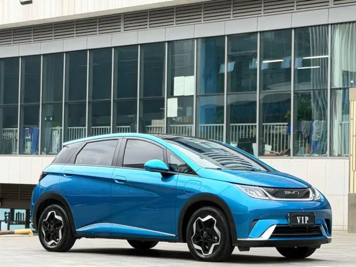 BYD Dolphin 2021 Model Free Edition – фото 3