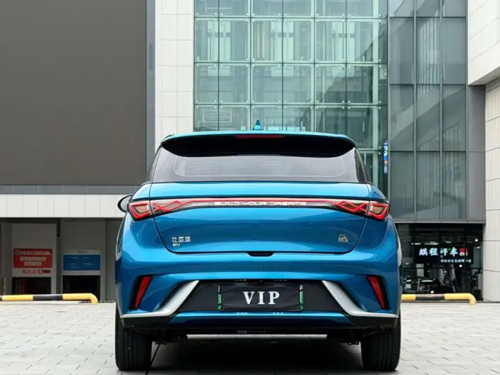 BYD Dolphin 2021 Model Free Edition – фото 6