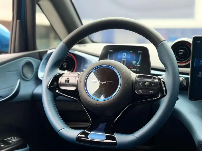BYD Dolphin 2021 Model Free Edition – фото 14