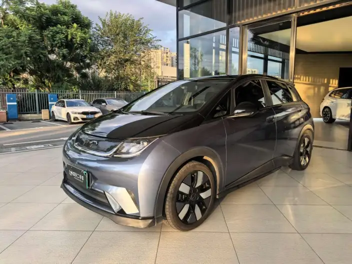 BYD Dolphin 2023 Model Knight Edition – фото 1