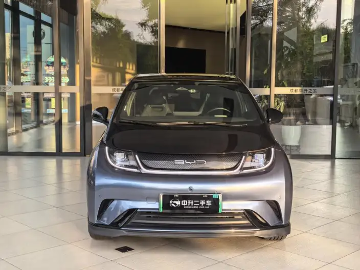 BYD Dolphin 2023 Model Knight Edition – фото 2