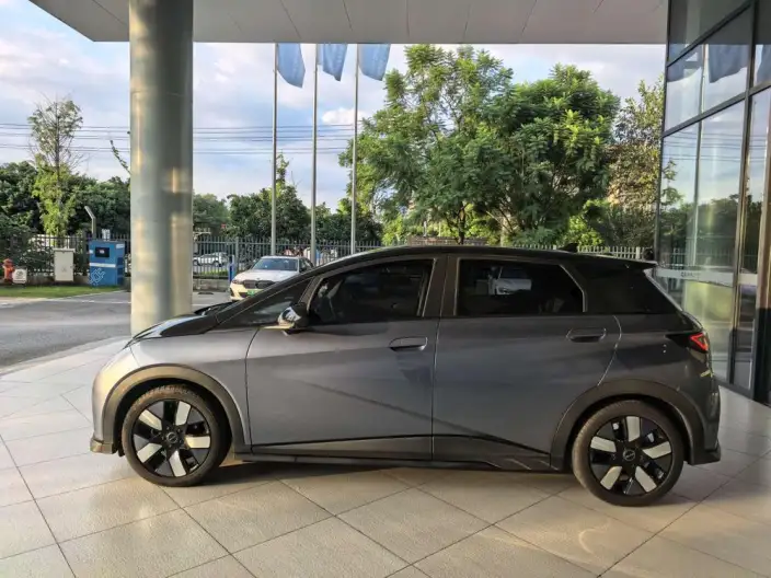 BYD Dolphin 2023 Model Knight Edition – фото 3