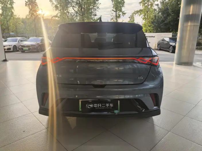 BYD Dolphin 2023 Model Knight Edition – фото 4