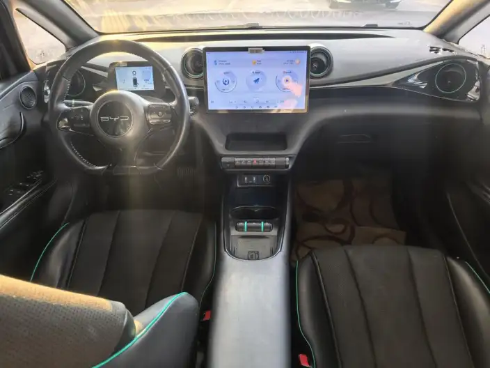 BYD Dolphin 2023 Model Knight Edition – фото 7