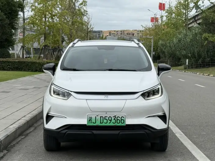 Yuan Pro 2021 Model 401KM Noble Model – фото 2