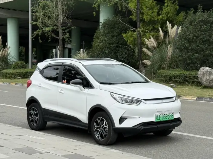 Yuan Pro 2021 Model 401KM Noble Model – фото 3