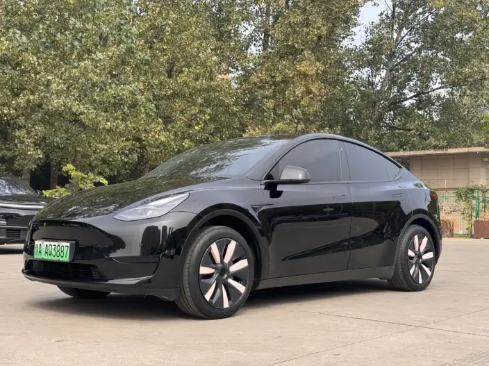 Model Y 2023 Model Rear-wheel drive version – фото 1