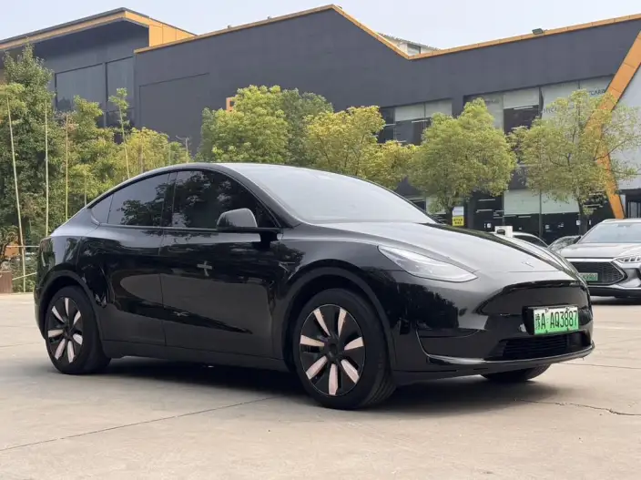 Model Y 2023 Model Rear-wheel drive version – фото 3