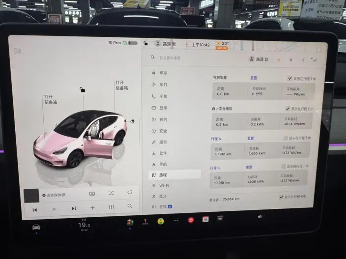 Model Y 2023 Model Rear-wheel drive version – фото 9