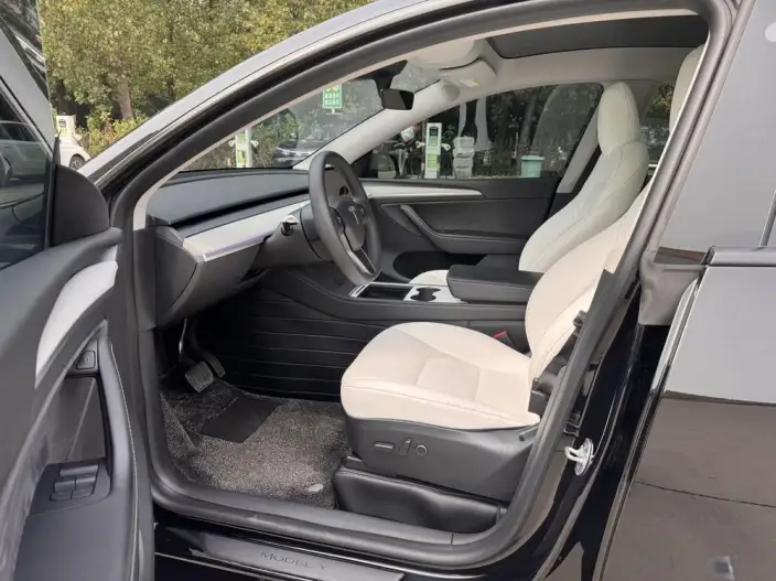 Model Y 2023 Model Rear-wheel drive version – фото 11