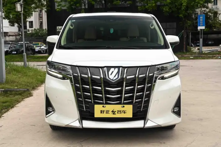 Elfa 2021 Model Hybrid 2.5L Premium Edition – фото 2
