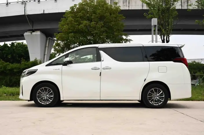 Elfa 2021 Model Hybrid 2.5L Premium Edition – фото 3