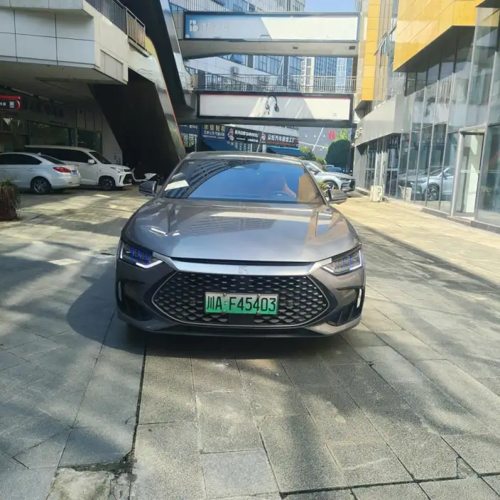 BYD Han DM 2023 Model DM-i Champion Edition 121KM Exclusive Model – фото 2
