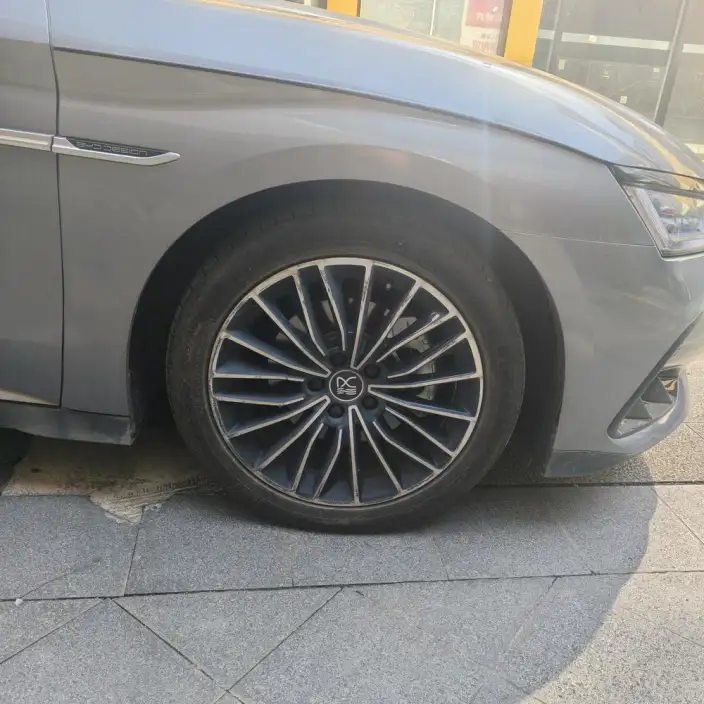 BYD Han DM 2023 Model DM-i Champion Edition 121KM Exclusive Model – фото 8