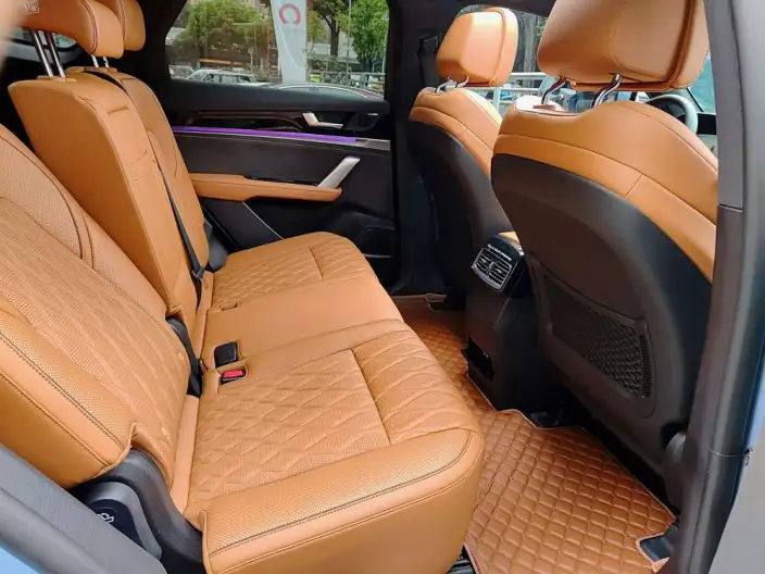 BYD Tang DM 2023 Model DM-i Champion Edition 112KM Exclusive Model – фото 9