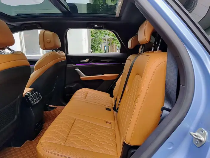 BYD Tang DM 2023 Model DM-i Champion Edition 112KM Exclusive Model – фото 11