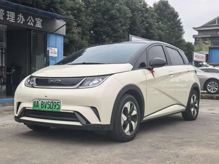 BYD Dolphin 2024 Model Honor Edition 420km Free Edition – фото 1
