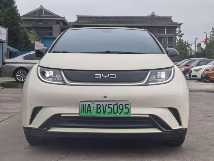 BYD Dolphin 2024 Model Honor Edition 420km Free Edition – фото 2
