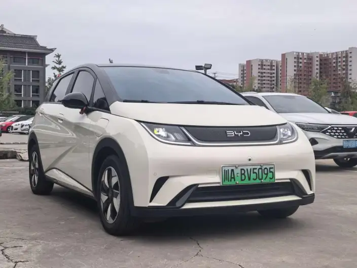 BYD Dolphin 2024 Model Honor Edition 420km Free Edition – фото 3