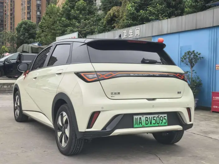 BYD Dolphin 2024 Model Honor Edition 420km Free Edition – фото 4