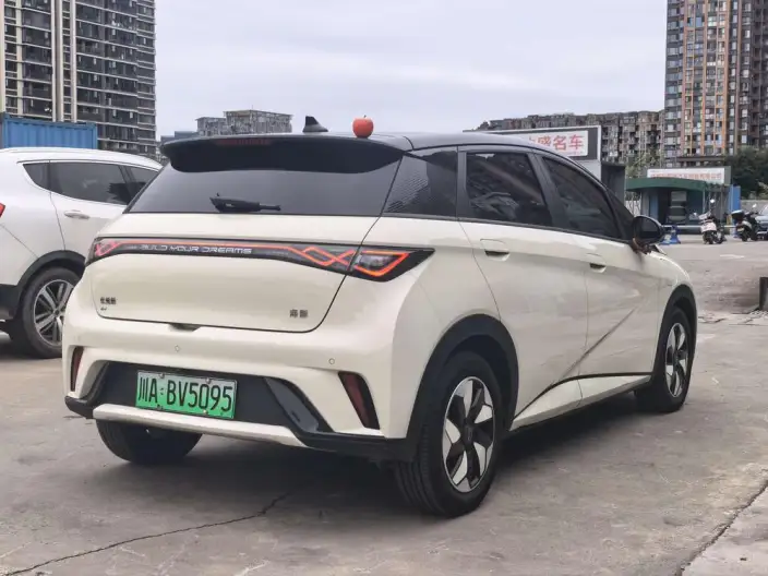 BYD Dolphin 2024 Model Honor Edition 420km Free Edition – фото 6