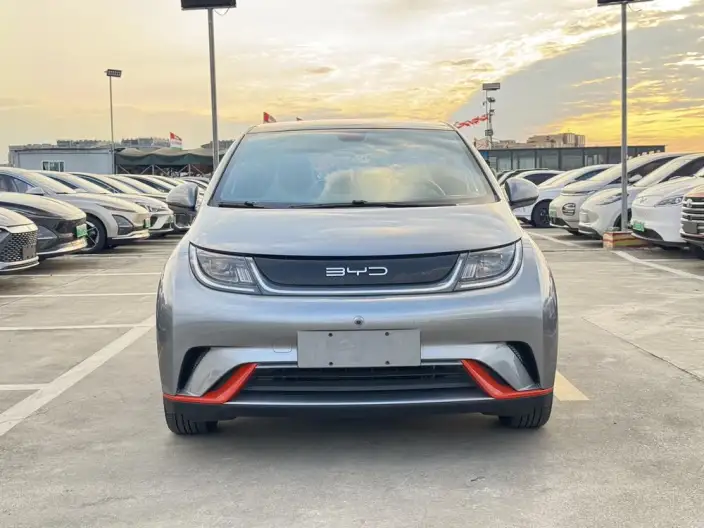 BYD Dolphin 2021 Model Fashion Edition – фото 2