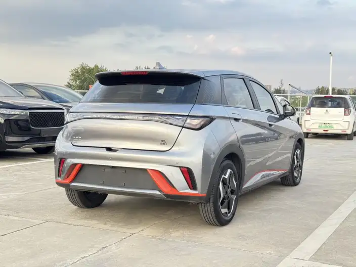 BYD Dolphin 2021 Model Fashion Edition – фото 6