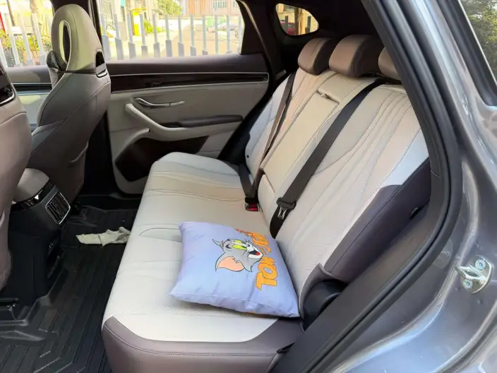 BYD Song PLUS DM 2025 Model DM-i 112KM Zunrong Model – фото 14