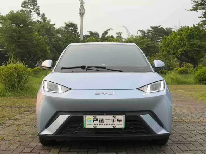 BYD Seagull 2025 Model 305KM Free Edition – фото 2