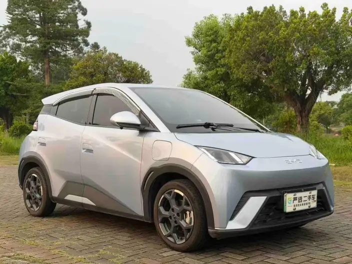 BYD Seagull 2025 Model 305KM Free Edition – фото 3
