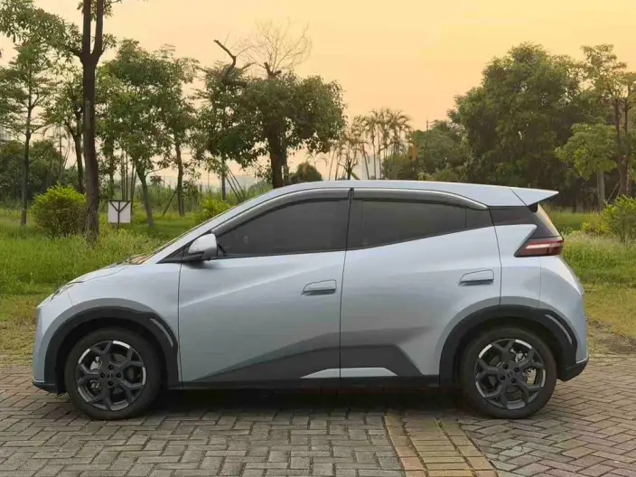 BYD Seagull 2025 Model 305KM Free Edition – фото 4