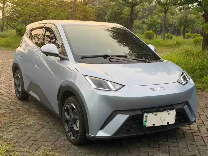 BYD Seagull 2025 Model 305KM Free Edition – фото 9