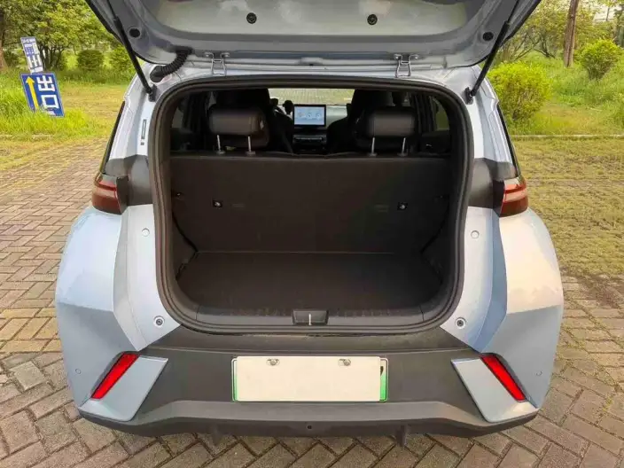 BYD Seagull 2025 Model 305KM Free Edition – фото 14