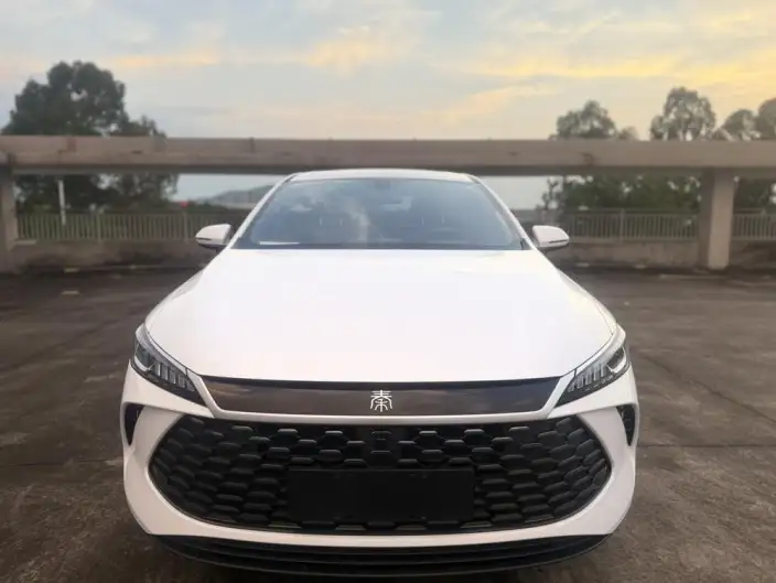 BYD Qin PLUS DM 2026 Model DM-i 210KM Enterprising Model – фото 2