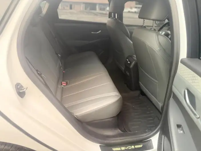 BYD Qin PLUS DM 2026 Model DM-i 210KM Enterprising Model – фото 19