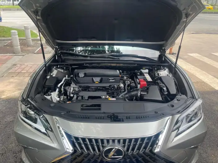 Lexus ES 2022 Model 260 Superior Edition – фото 8