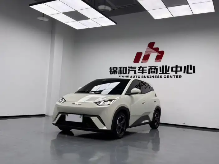 BYD Seagull 2024 Model Honor Edition 305KM Free Edition – фото 1