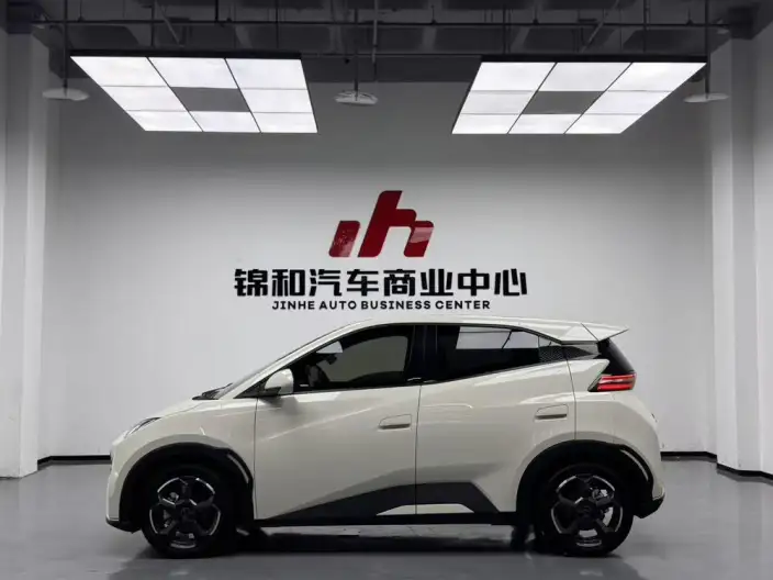 BYD Seagull 2024 Model Honor Edition 305KM Free Edition – фото 3