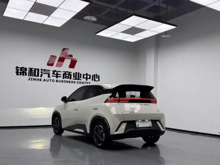 BYD Seagull 2024 Model Honor Edition 305KM Free Edition – фото 4