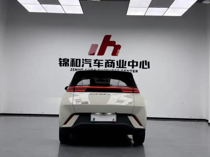 BYD Seagull 2024 Model Honor Edition 305KM Free Edition – фото 5