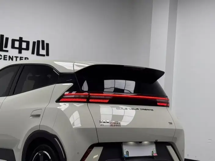 BYD Seagull 2024 Model Honor Edition 305KM Free Edition – фото 7