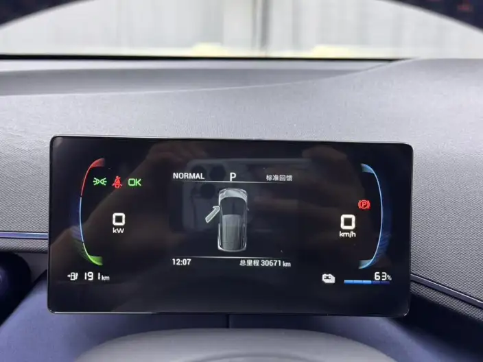 BYD Seagull 2024 Model Honor Edition 305KM Free Edition – фото 10
