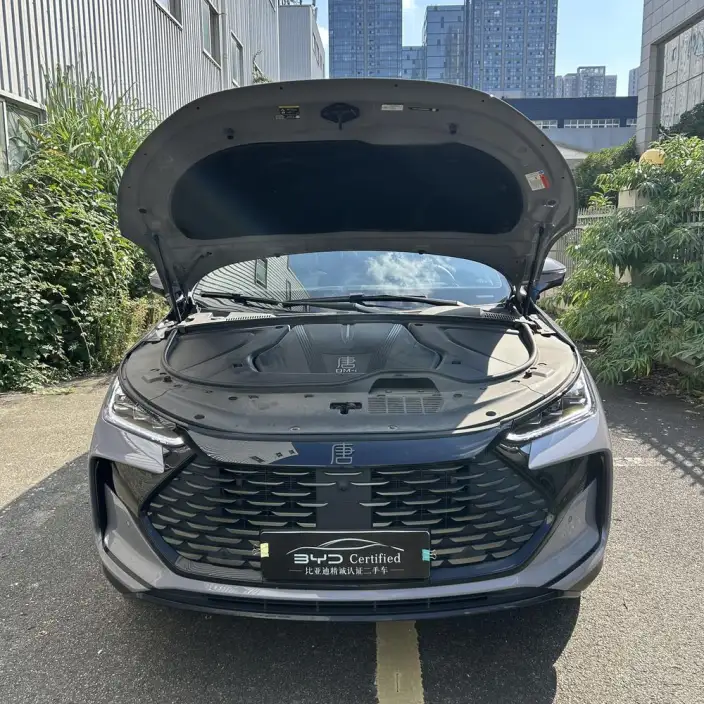 BYD Tang DM 2025 Model Smart Driving Edition DM-i 115KM Flagship Model – фото 2