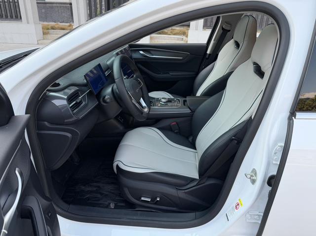 BYD Qin PLUS EV 2021 500KM Luxury – фото 6