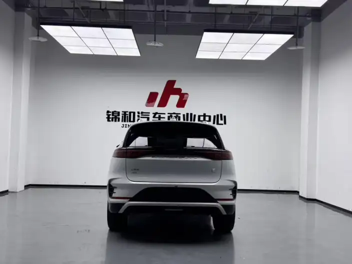 BYD Tang DM 2024 Model Honor Edition DM-i 112KM Noble Model – фото 5