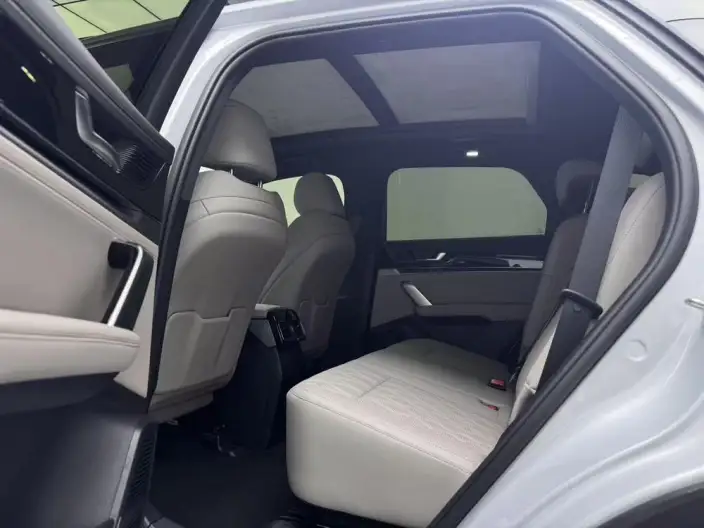 BYD Tang DM 2024 Model Honor Edition DM-i 112KM Noble Model – фото 11